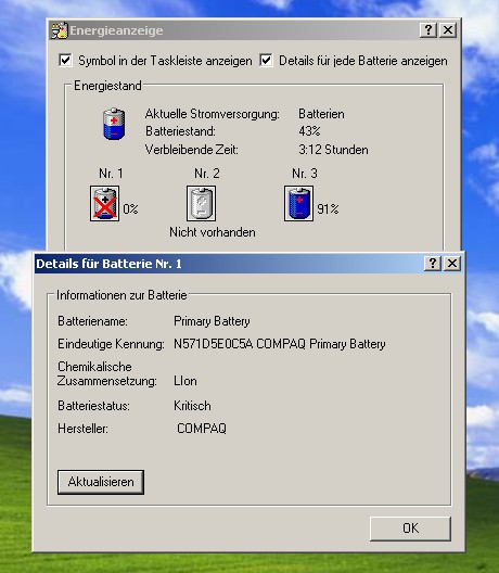 Windows kann Herstellerdaten noch auslesen